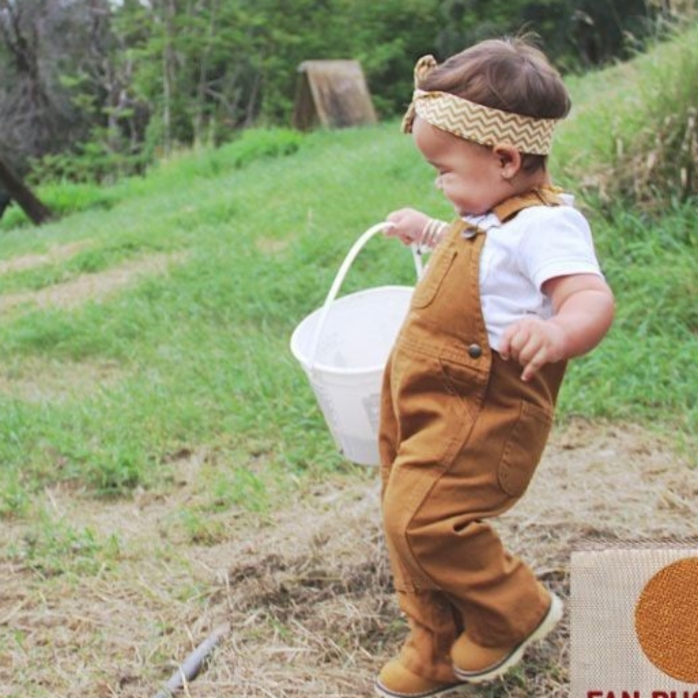 2t toddler boys carhartt Bib overalls